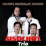 Sisolhot Trio