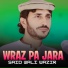 Said Wali Wazir