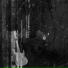 DaWinci