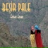 Beşir Pale
