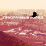 Д. Штайнман