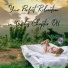 Essential Sleep Music
