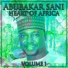Abubakar Sani