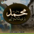 Ali Raza Rizvi