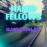 Hamid Fellows