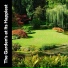 Zen Garden Secrets