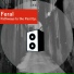 Feral