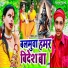 Jitendra Raj Prajapati