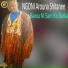 NGoni Fo Arouna Shitanee