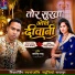 Raja Banjare, Madhuri Dahariya