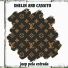 DHELIN, Cassito