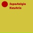 Kuzstein