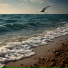 Velune, Шум Моря Коллекция