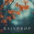Rainforest Ambience