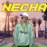 Necha