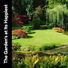 Nature Ambience