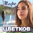Владимир Цветков