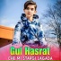 Gul Hasrat