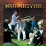 Nur Irsyad