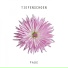 Tiefenschoen