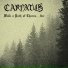Carpatus