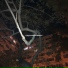 delend