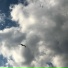 AngelScream