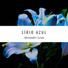 Alexander Lessa