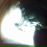 C}{imps 8 My Ears