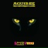 AguiRRe feat. Glen Matlock