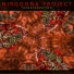 Nirgoona Project