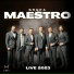 Grupa Maestro