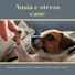 Cani Accessori