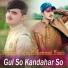 Saifullah Safar, Mohammad Munib