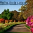 Radame ambiental