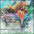 Birds of Paradise