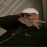 DJ IZEUS, mc dobella
