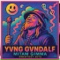 YVNG GVNDVLF, Gimma