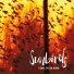 Sunbirds