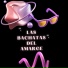 Dj Frank Bachatero
