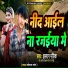 Imran Malik