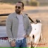Harout Balyan