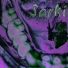Sarki