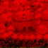 Acid Strange