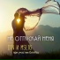 MSL16, D1N, ОляYou