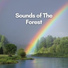 Sounds of Nature Noise