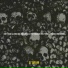 EJ Taylor feat. Payroll Giovanni, Shoestring
