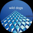 wild dogs