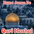 Qari Mashal