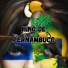 Maracatu Nação Pernambuco
